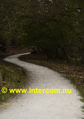 141 Uncertain road ahead_DSC5030_02_0500